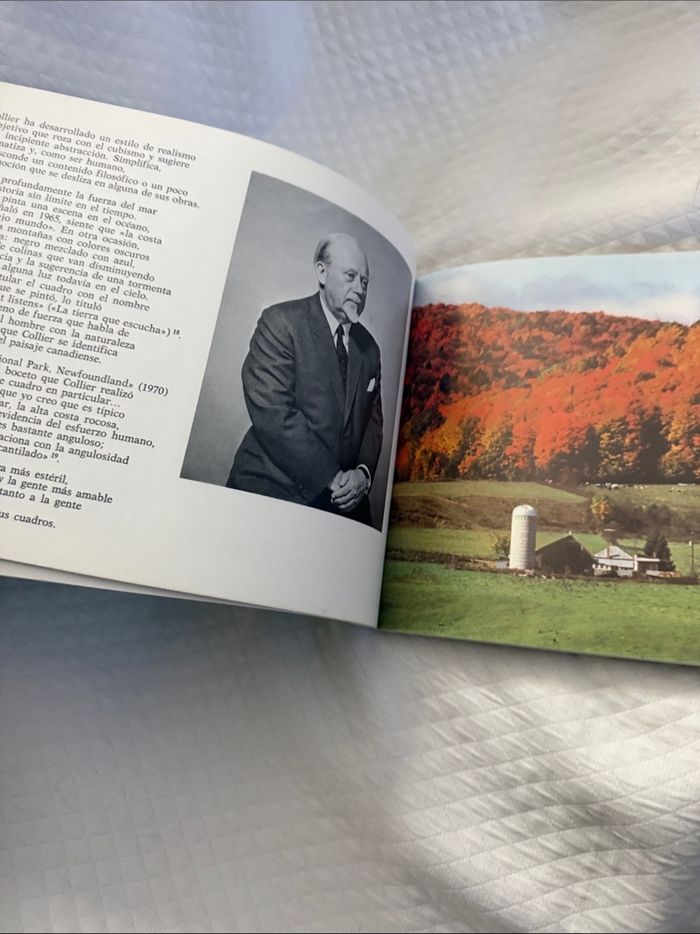 Rare! Vintage 1984 Canadian Art Exhibition Catalogue: "El Paisaje de Canada" - Picture 5 of 6